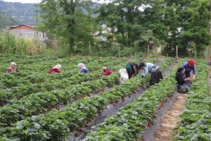 Gelir Kapısı üretmek